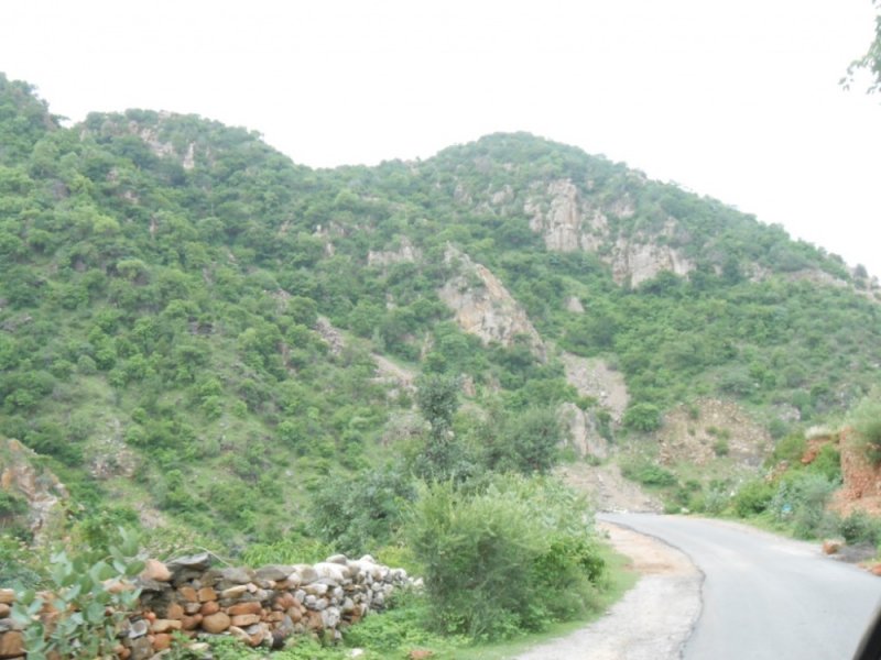 DSCN0489.jpg