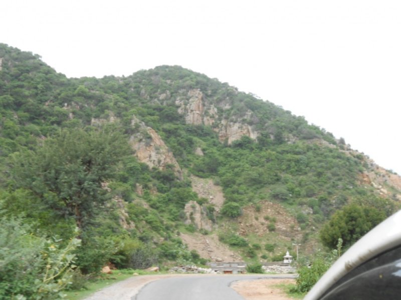 DSCN0490.jpg