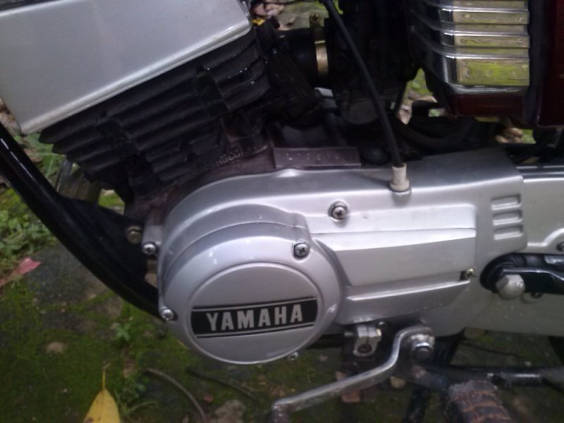 CAM00387.jpg