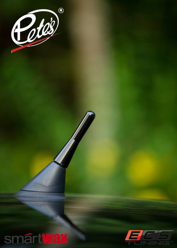 Petes-VW-Polo-GT-TSI-antenna.jpg